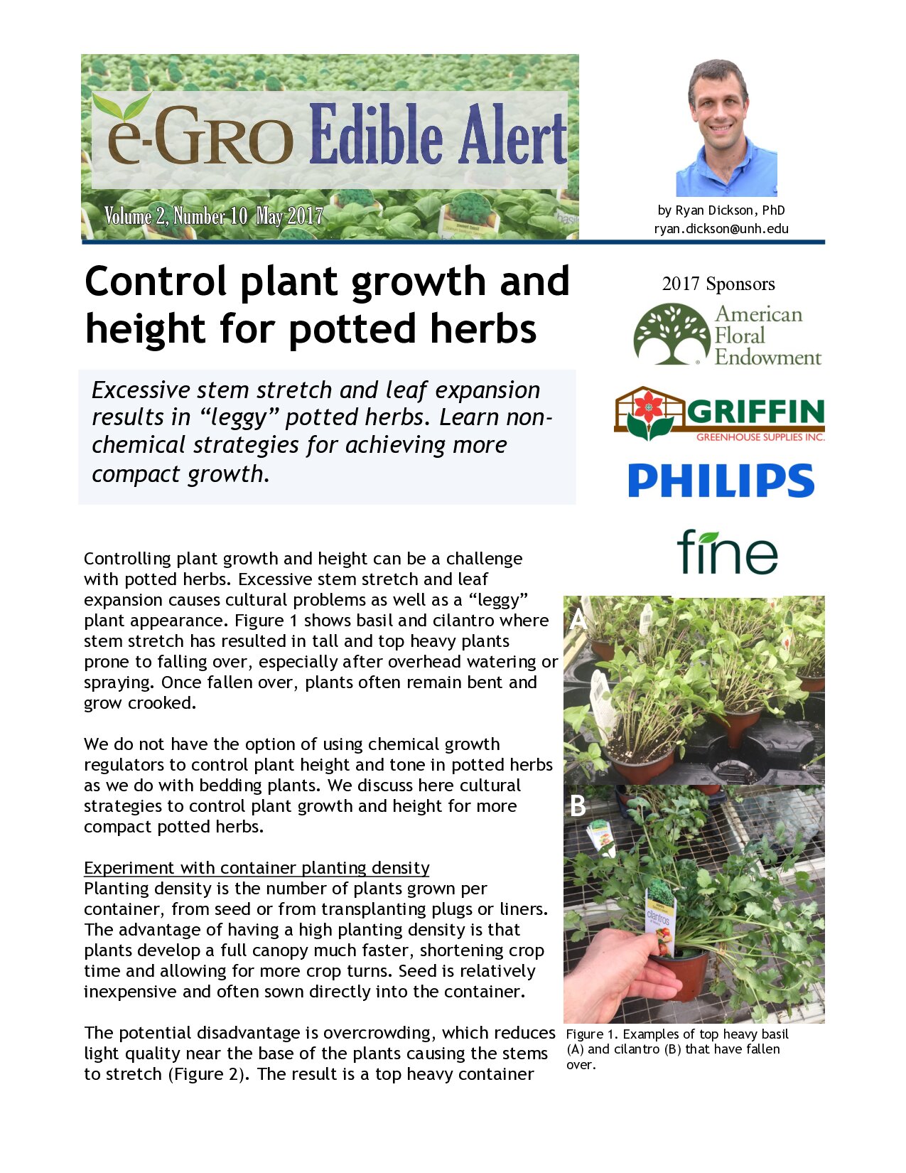 Control plant growth and height for potted herbs