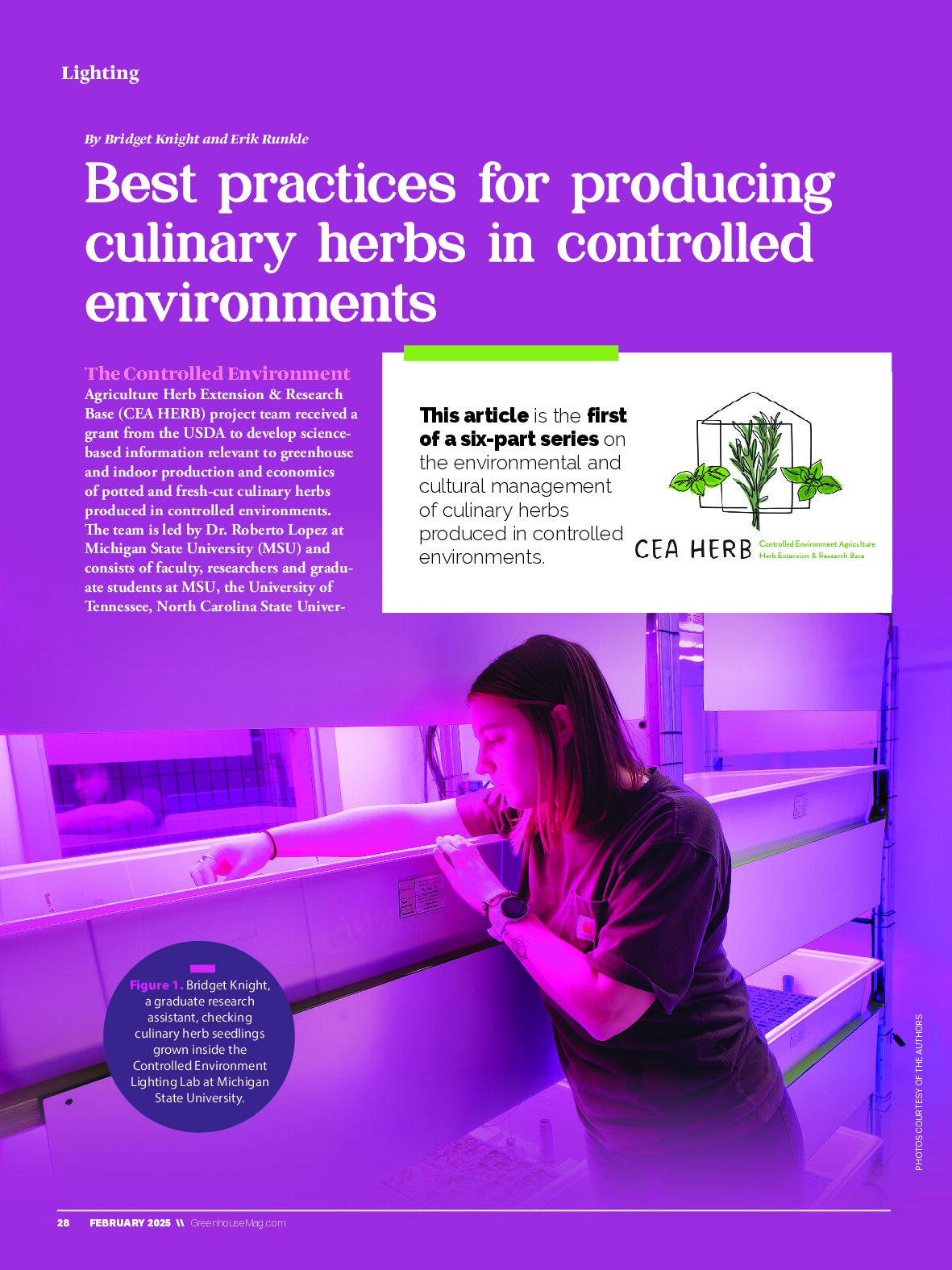 Best Practices for Producing Culinary Herbs