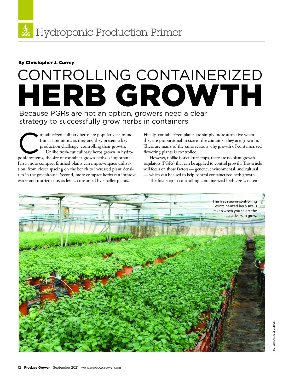Controlling Containerized Herb Growth