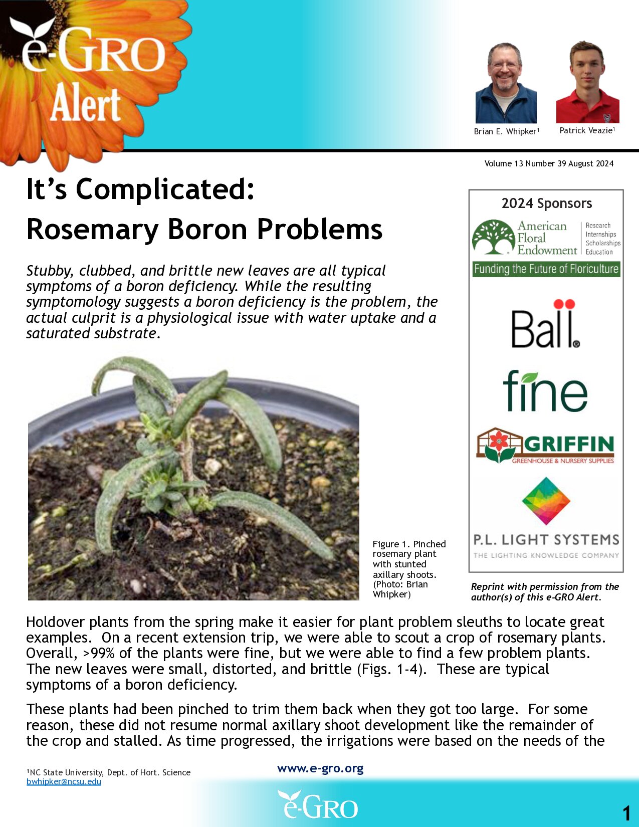It's complicated: Rosemary and Boron problems