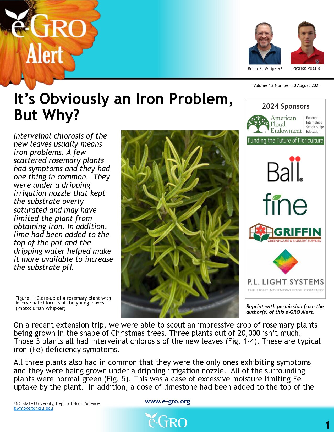 It's obviously an Iron problem, but why?
